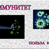 Иммунитет - польза и вред